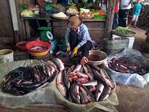 Market near Siem Reap