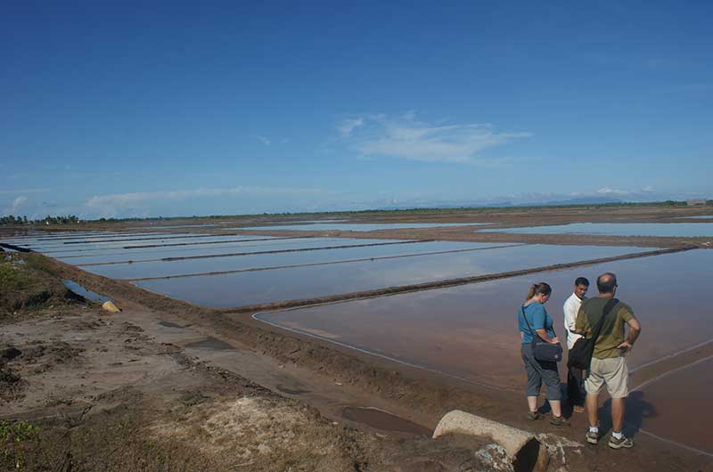 Salt Fields In Kep