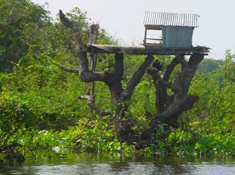 Kompong Phluk in Tonle Sap, Cambodia