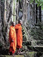 the sunday times review aboutasia schools