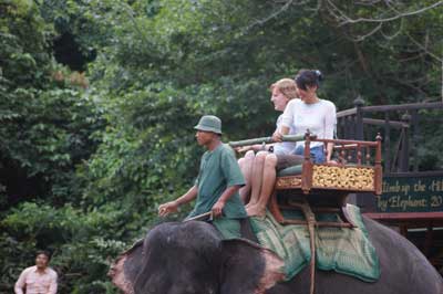 alternative-transport pic2