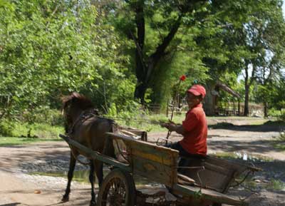 alternative-transport pic5