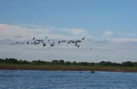 siem reap attraktionen - tonle sap